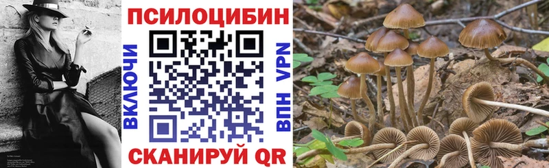 сколько стоит  MEGA как зайти  Псилоцибиновые грибы прущие грибы  Жигулёвск 